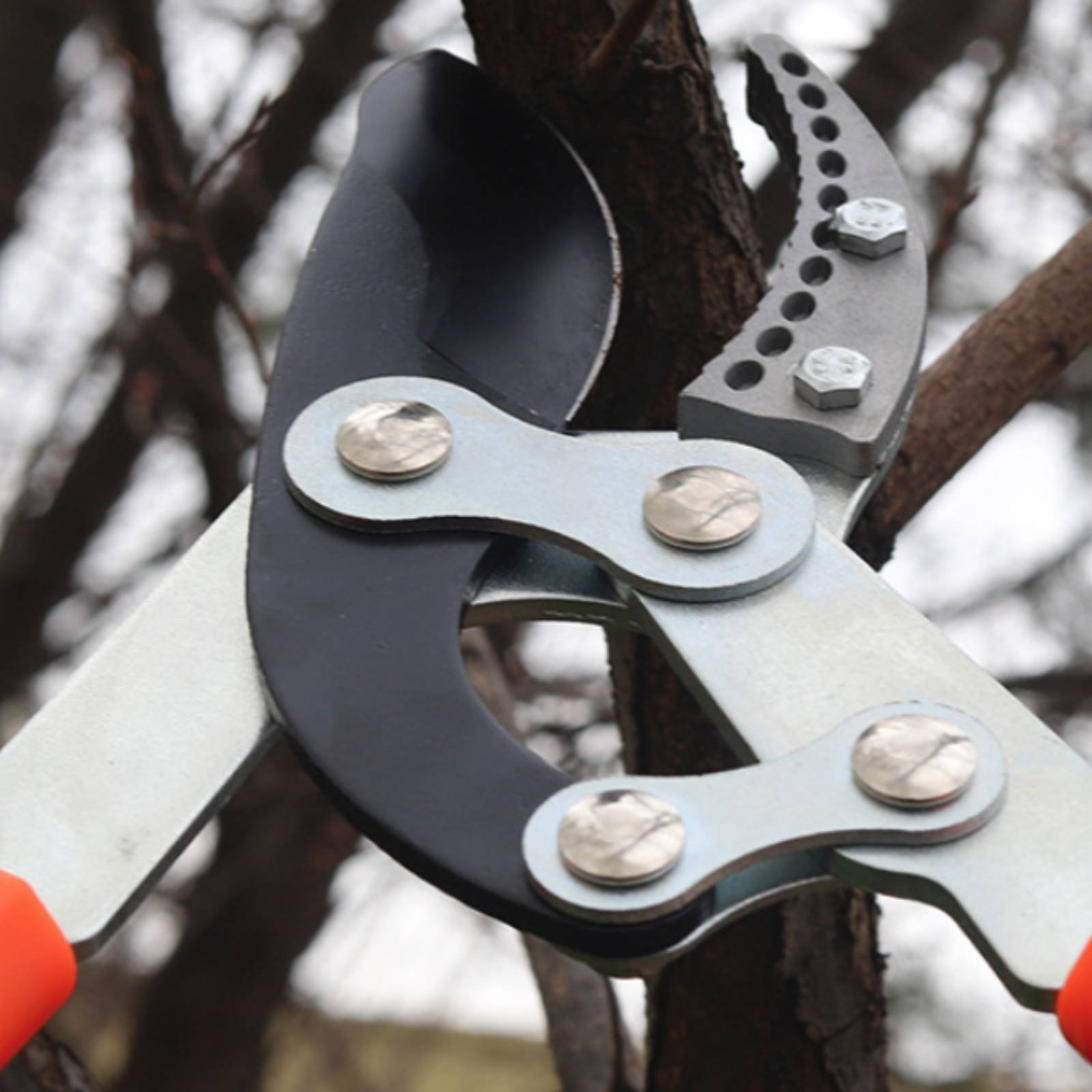 Pemangkas Cabang Teleskopik Pi - Garden Tools ulasan dan harga