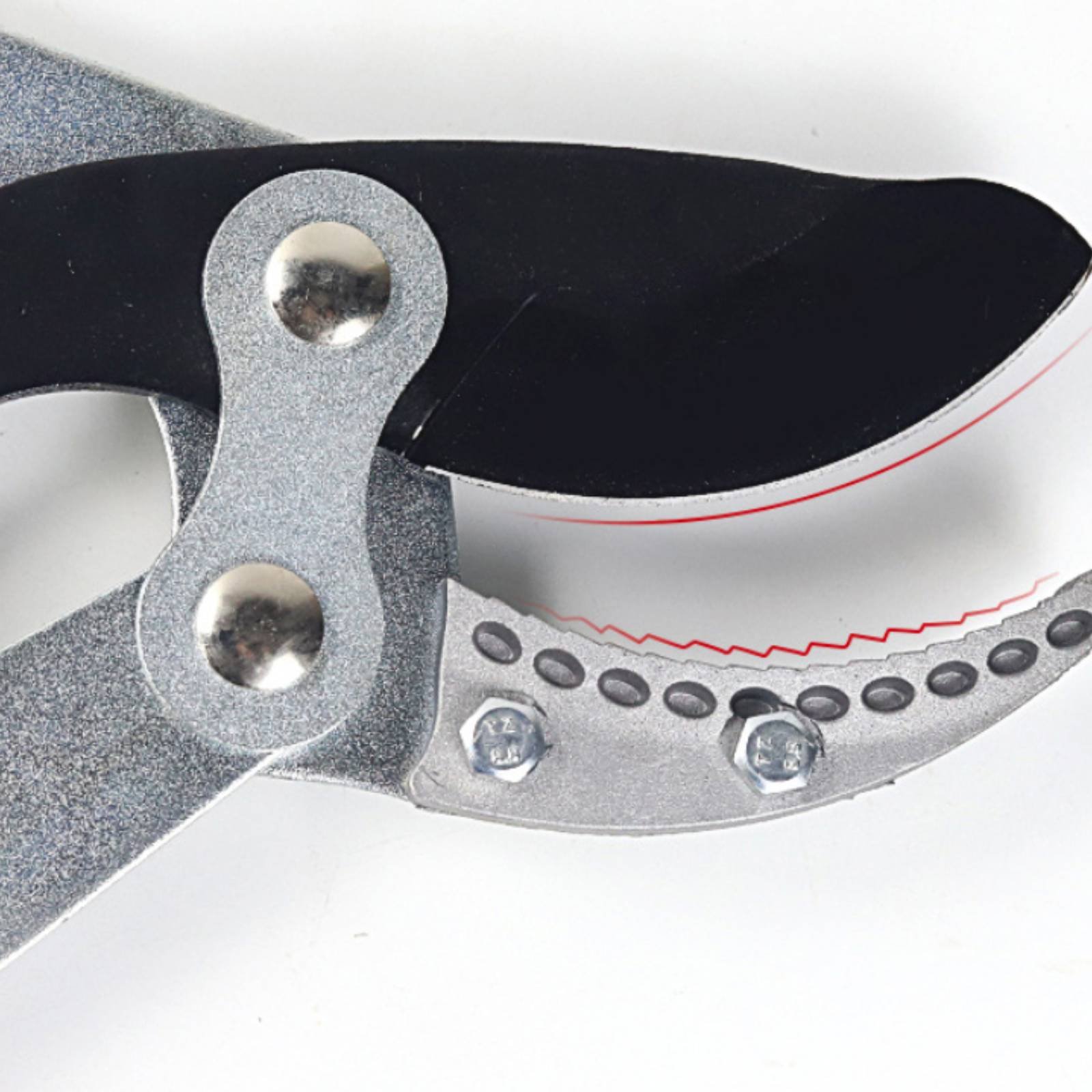 Pemangkas Cabang Teleskopik Pi - Garden Tools ulasan dan harga